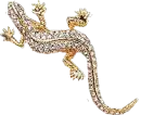 lizard