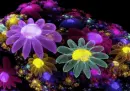 multicolor flowers