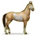 marwari