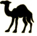 camel