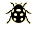 ladybird