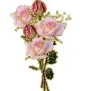 bouquet of pink roses