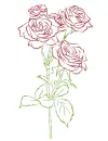 rose