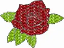 rose