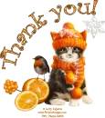 Thank you!