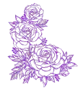 rose