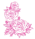 rose