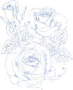 rose