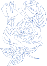 rose