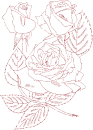 rose