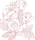 rose