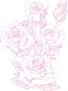 rose