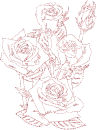 rose