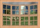Window Nature