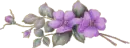 purple flower