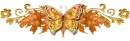 gold butterfly