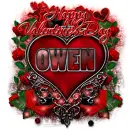 Owen-Happy Valentine's Day