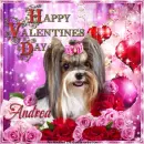 Andrea - Happy Valentine's Day