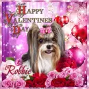 Robbie - Happy Valentine's Day