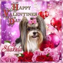 Shakela - Happy Valentine's Day