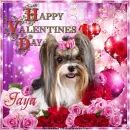 Jaya - Happy Valentine's Day