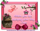 Cute Puppy - Jane