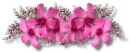 Pink Flower Divider