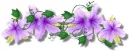 Purple Flower Divider