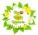 Spring Deb