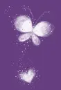 butterfly & heart on purple background