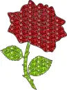 rose