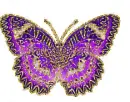 butterfly