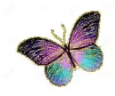 butterfly
