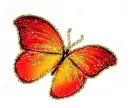 butterfly