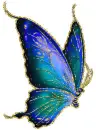 butterfly