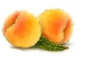 apricots