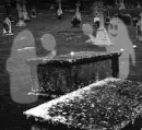 ghost pingpong