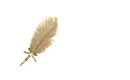 Platinum Feather Pen
