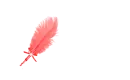Red Feather Pen