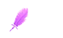 Purple Feather Pen