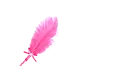 Pink Feather Pen