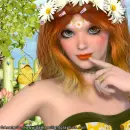 Daisies are...FB profile pic