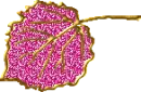 purple leave
