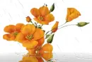 orange flowers
