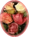 color rosas