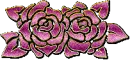 dark red rosas