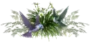 hummingbirds