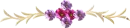 purple flowers