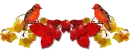 red birds