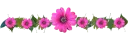 pink flower